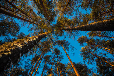 Similar image 22311764