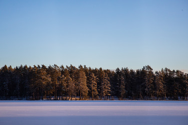 Similar image 22311765