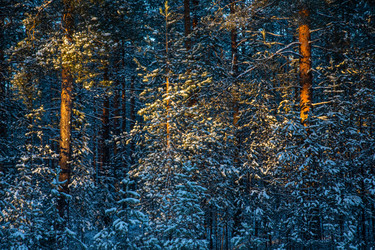 Similar image 22311766