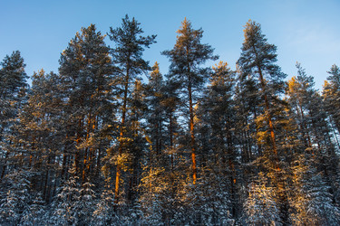 Similar image 22311767