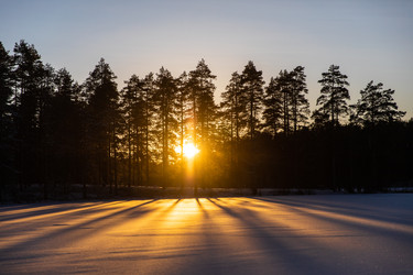 Similar image 22311770