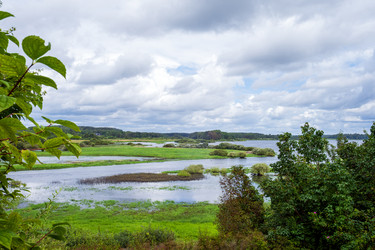 Similar image 22308655