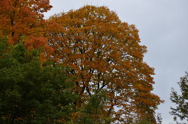 Similar image 22332792