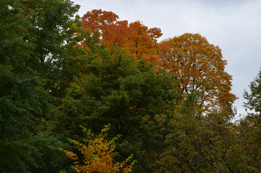 Similar image 22331590