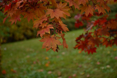 Similar image 22332793