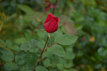 Similar image 22321591