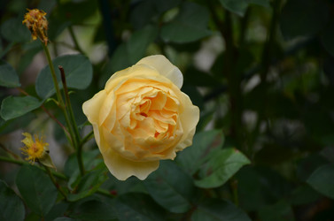 Similar image 22332794