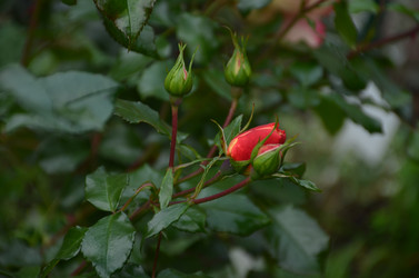 Similar image 22332795