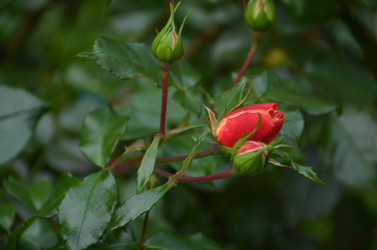 Similar image 22332796