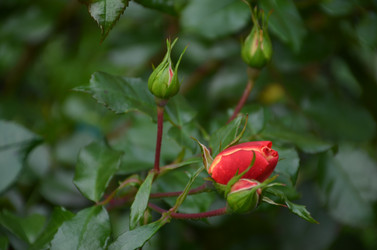 Similar image 22332797