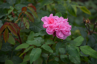 Similar image 22332798