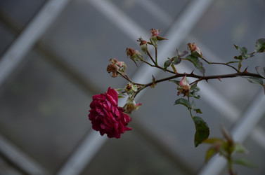 Similar image 22332801