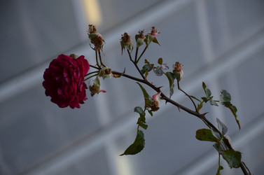 Similar image 22332802