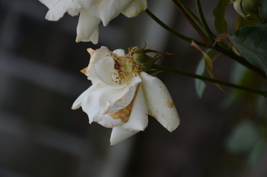 Similar image 22319681