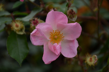 Similar image 22332803