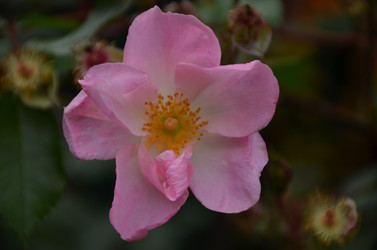 Similar image 22332804