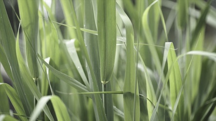 Similar image 22328716