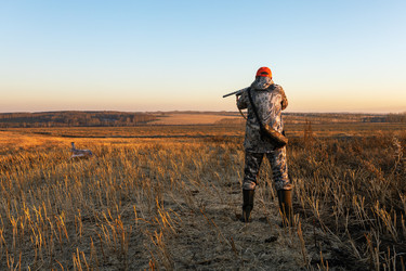 Similar image 22316628