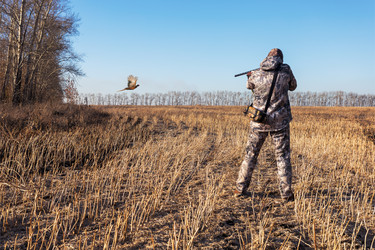 Similar image 22316630