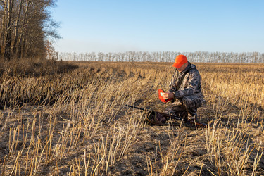 Similar image 22316633