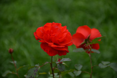 Similar image 22319684