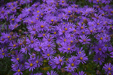 Similar image 22315329