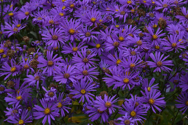 Similar image 22315330