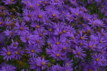 Similar image 22319686