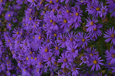 Similar image 22319687