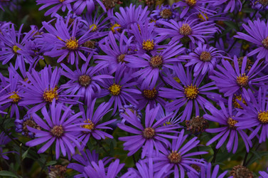 Similar image 22315331