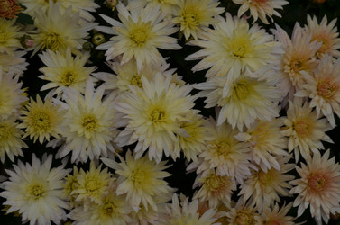 Similar image 22315332