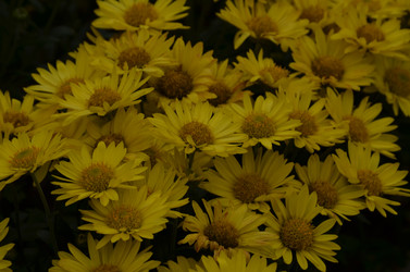 Similar image 22315335