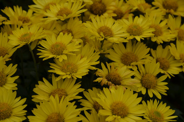 Similar image 22315336