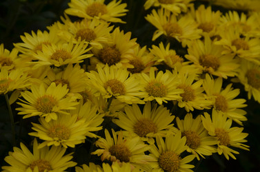 Similar image 22315337