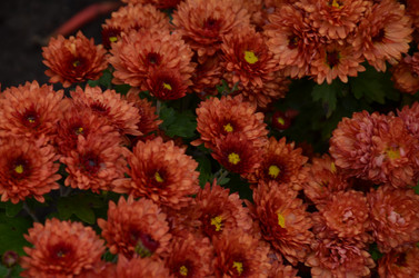 Similar image 22319688