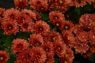 Similar image 22315338