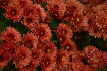 Similar image 22315339