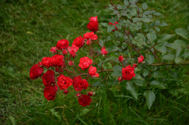 Similar image 22319689