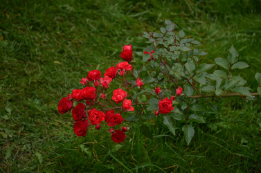 Similar image 22319690