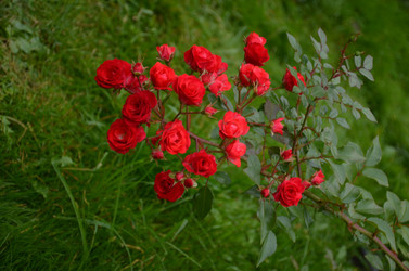 Similar image 22321594