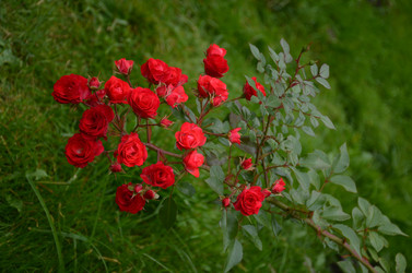 Similar image 22331595