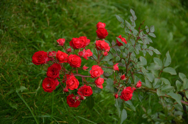 Similar image 22331596