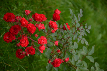 Similar image 22321595