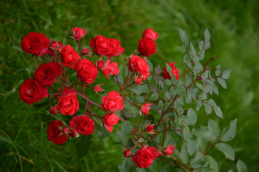 Similar image 22319691