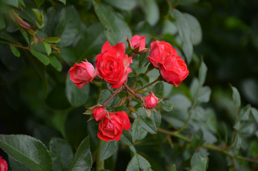 Similar image 22319692