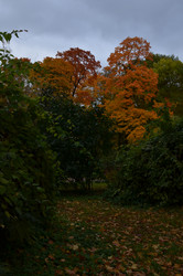 Similar image 22331597