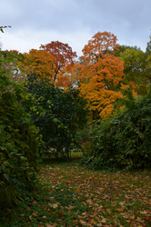 Similar image 22319693