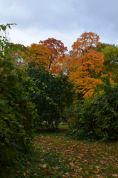 Similar image 22315340