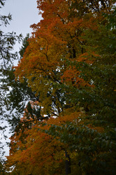 Similar image 22331598