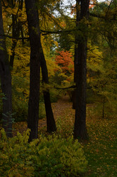 Similar image 22319694